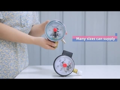 스테인리스 스틸 실리콘 채운 압력 측정기 바닥 연결 100mm