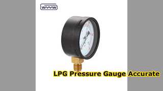 LPG용 60mm 바 압력 게이지