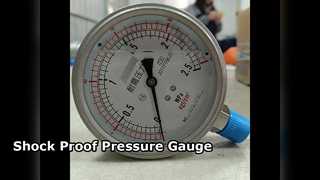 100mm 4" 모든 SS 0-2.5MPa